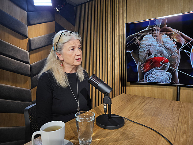 Záludnost žloutenky typu A? Malé děti bývají bezpříznakové, říká epidemioložka