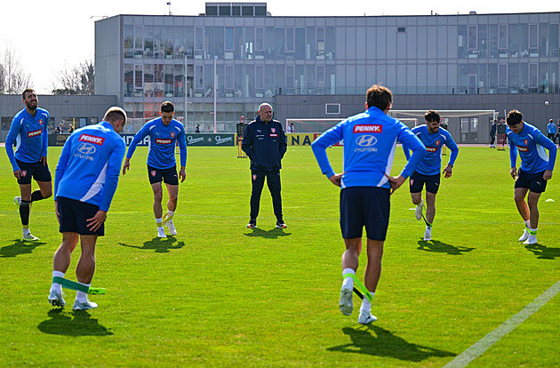 Všechno do útoku! přejí si čtenáři na Irsko. Chtějí Schicka i Chorého, vynechali Součka