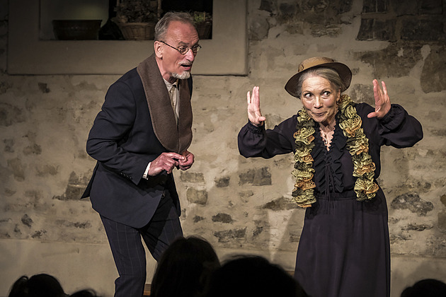 Božská Božena. Divadlo Kampa představilo hru o životě spisovatelky Němcové