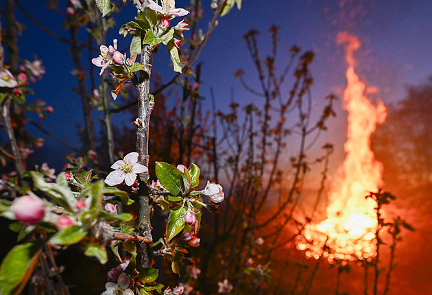 Sadaři bojovali proti mrazu. Hodiny jezdili s raketovým dělem i pálili balíky slámy